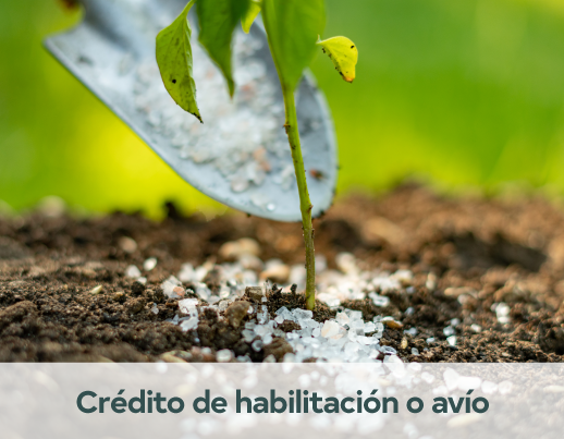 Crédito 1