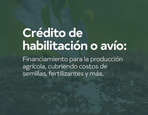 Crédito 1 Hover