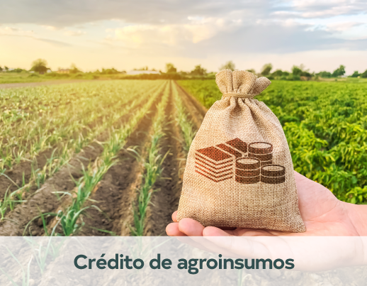 Crédito 2