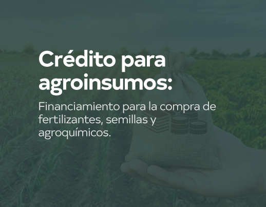 Crédito 2 Hover