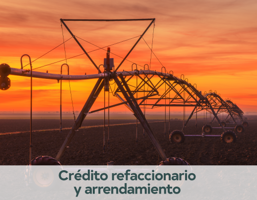 Crédito 3