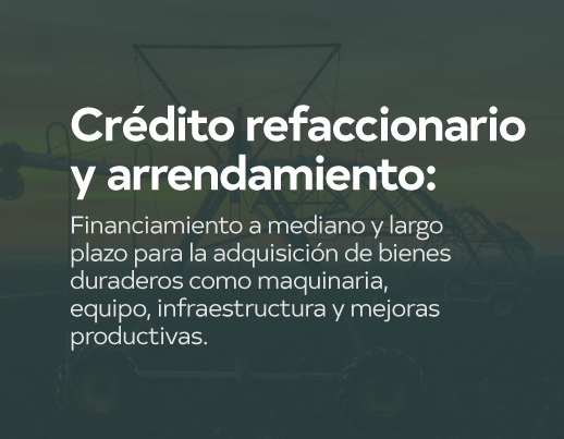 Crédito 3 Hover