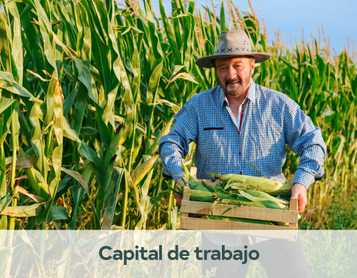 Crédito 4